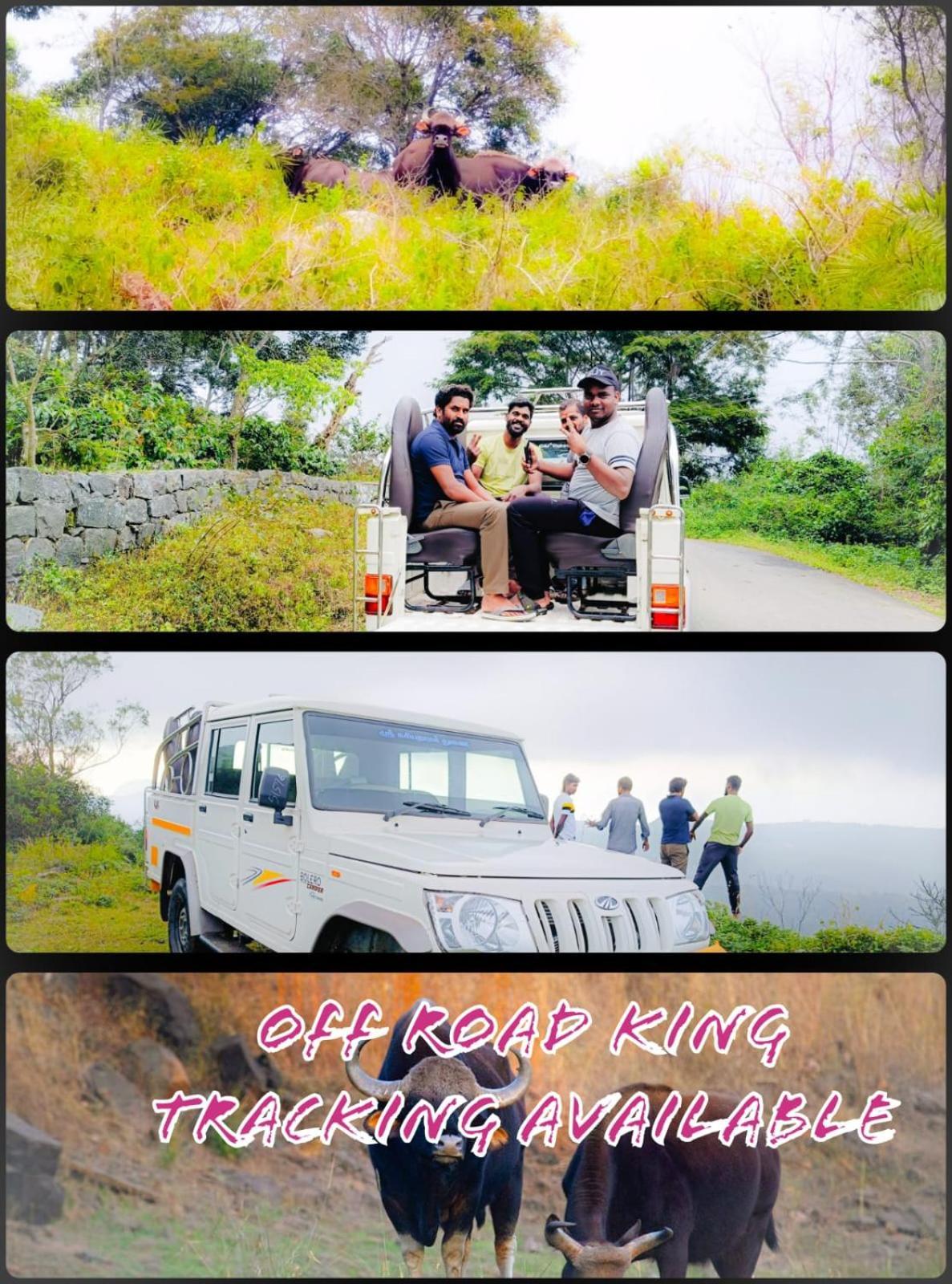 Tgt Holidays Yercaud